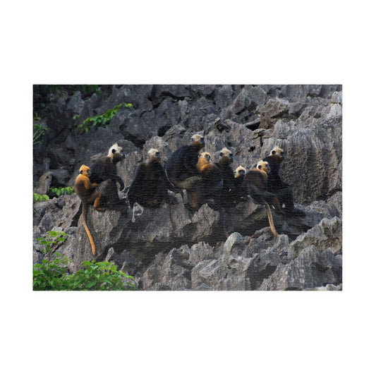 Langur Group 520, 1014 Piece Puzzle