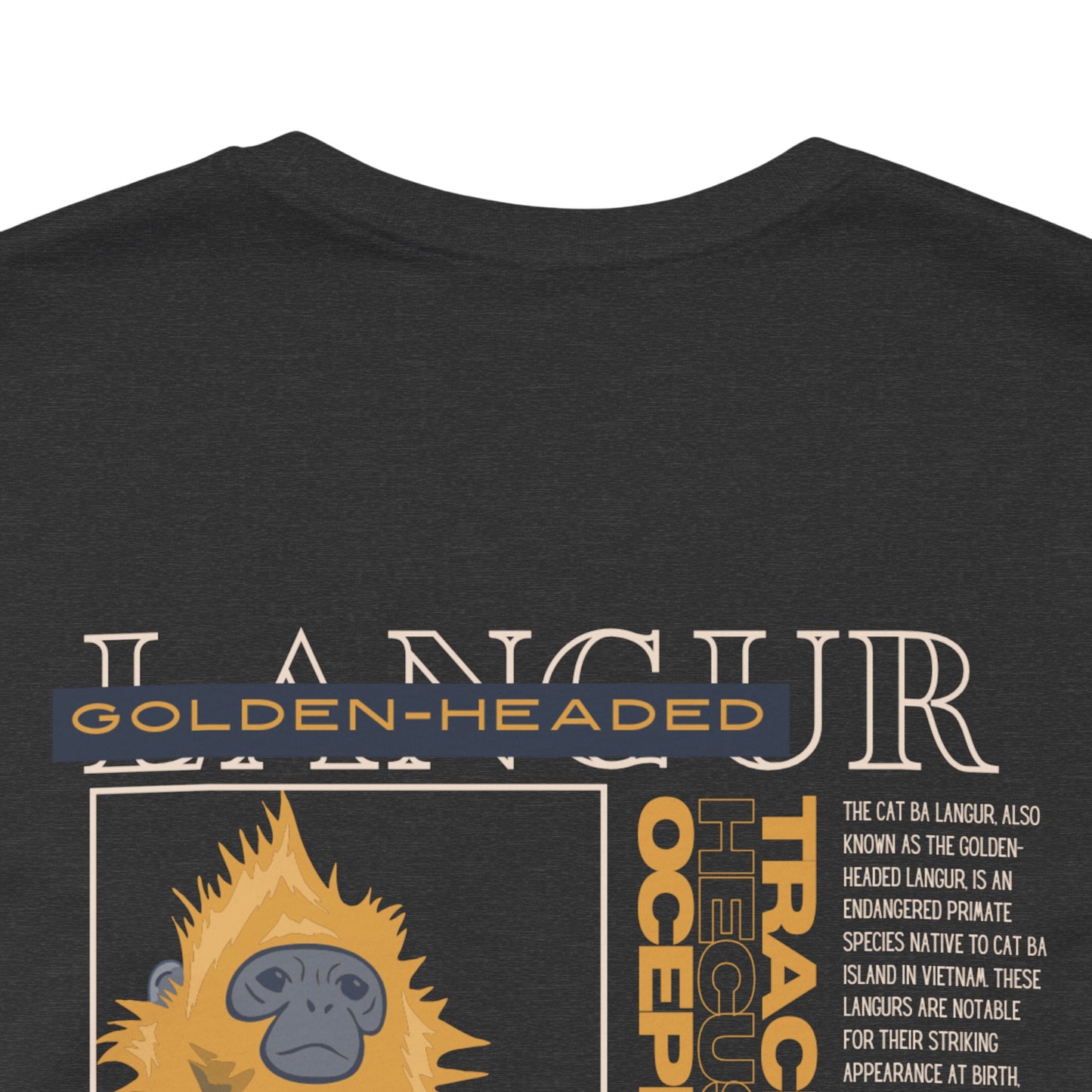 Unisex Grey Info Tee